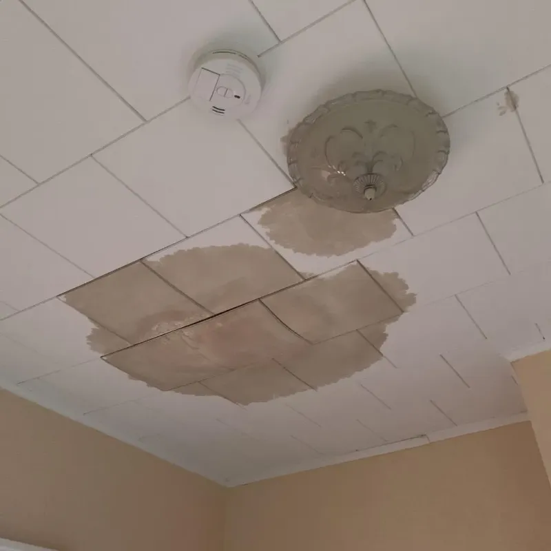 Ceiling Water Damage Repair in Montgomery County, TN