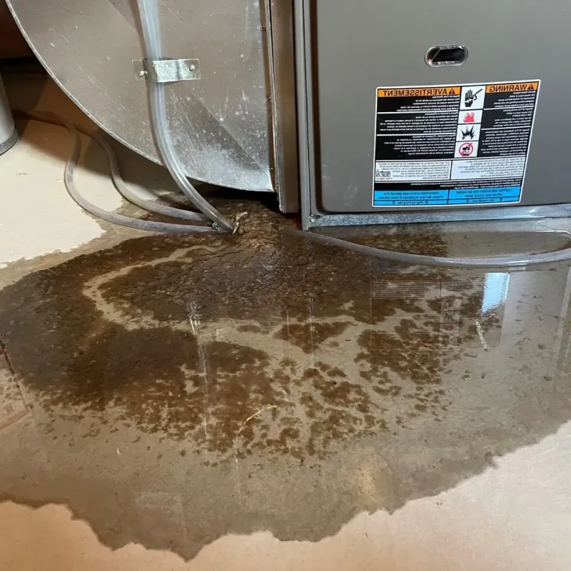 Pipe Burst and Leak Restoration in Montgomery County, TN