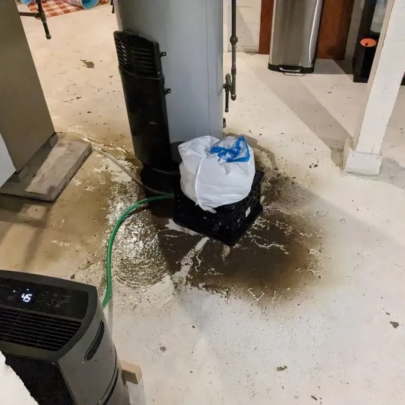 Sewage Backup Cleanup Service in Montgomery County, TN